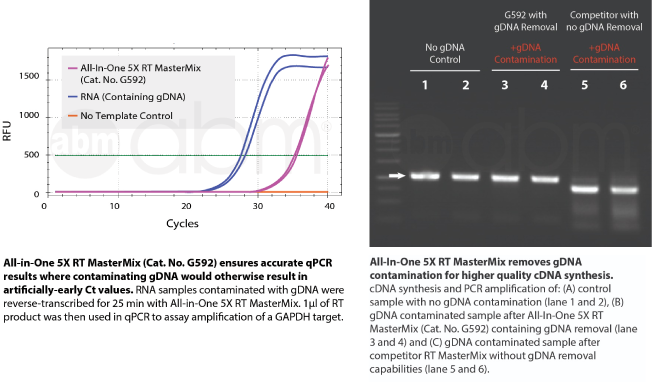 cDNA Synthesis Data Figure