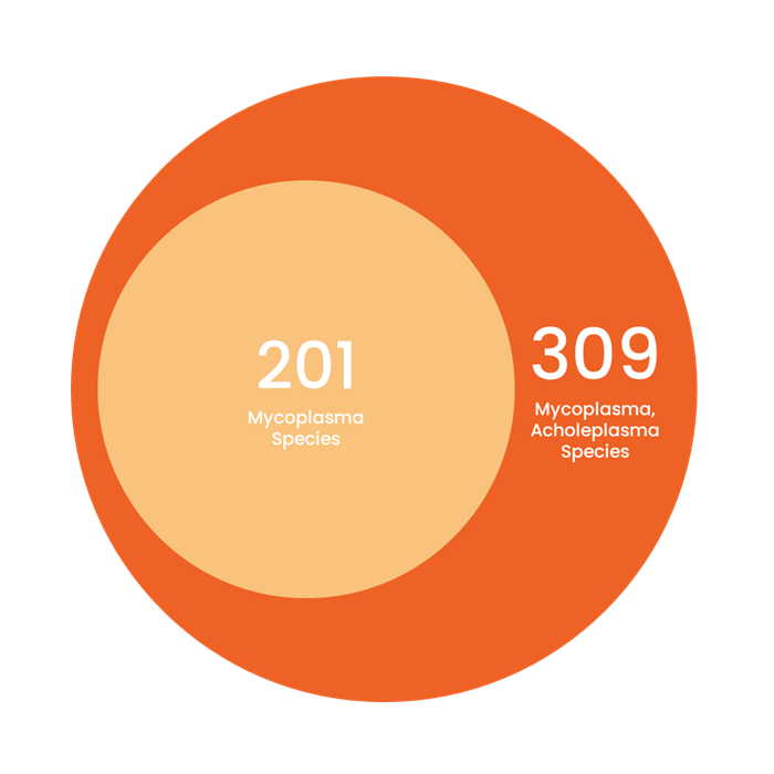 Mycoplasma species coverage comparison graphic
