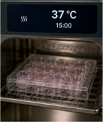 Gelation of 3DCelMatrix at 37 degrees Celsius